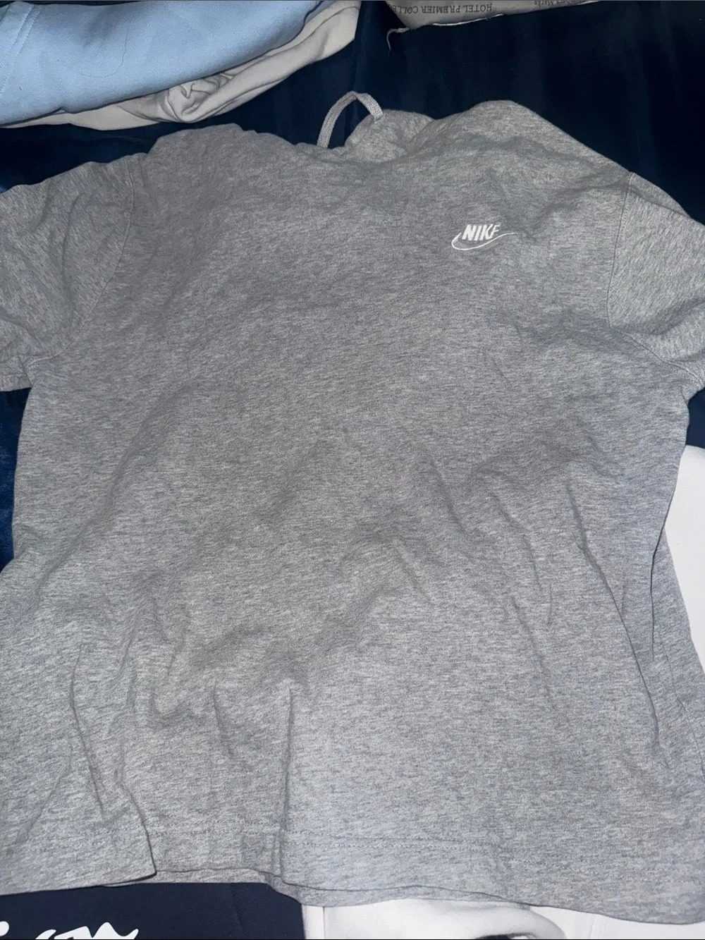 Champion Pullover Hoodies in Navy and White (M) Then gray Nike pullover (S)